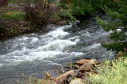 A pretty stream in Estes Park