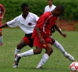 Ultra Lions