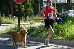 It was a fun scene. Some people ran with their dogs