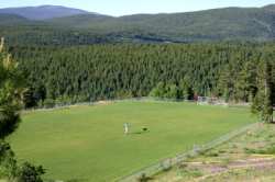 While he was running, his Dad and I watched a man train his dog on a neaby soccer field.