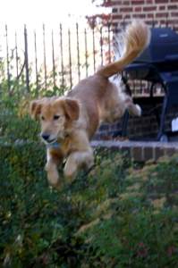 Jump in mid-air