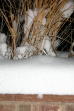 Snow piled up on the patio wall