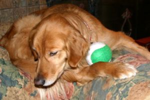 However, she will also guard her tennis ball