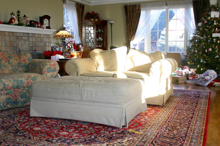 Check out our pretty new rug