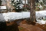 But there was no snow under the trees