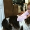 Marie quickly gets reacquainted with the dogs