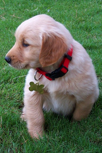 2000 - First day at home